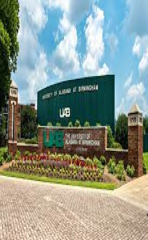 INTO Group - The University of Alabama at Birmingham